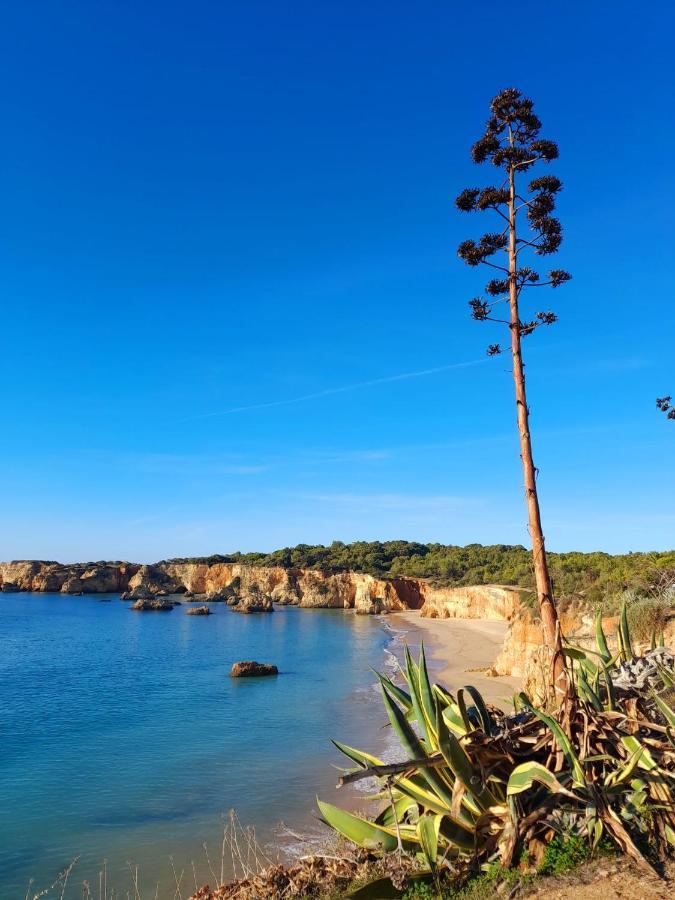 Harmony Apartment Portimao Ngoại thất bức ảnh