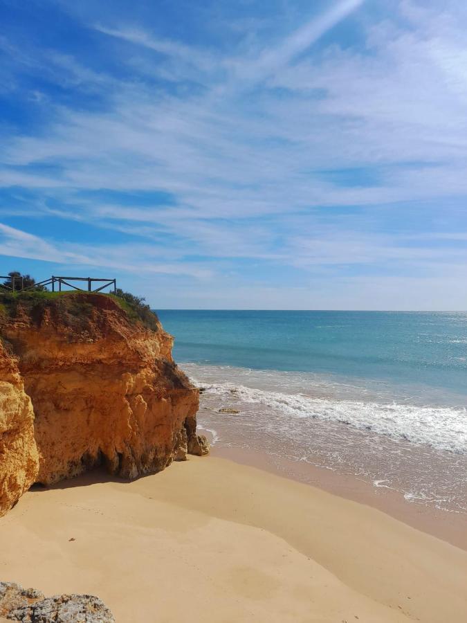 Harmony Apartment Portimao Ngoại thất bức ảnh
